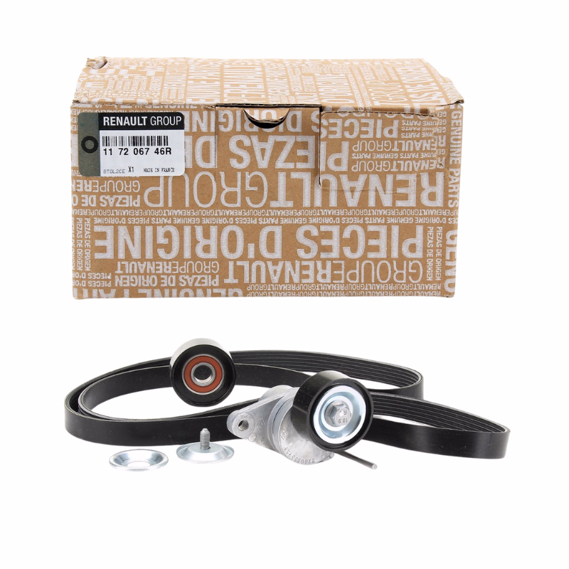 Kit accesorii 1.4 MPI (dupa 2010)- 1.6 MPI (dupa 2010) - 1.6 16 valve 117206746R original Dacia Dokker, Logan, Duster, Lodgy, Sandero, Logan MCV